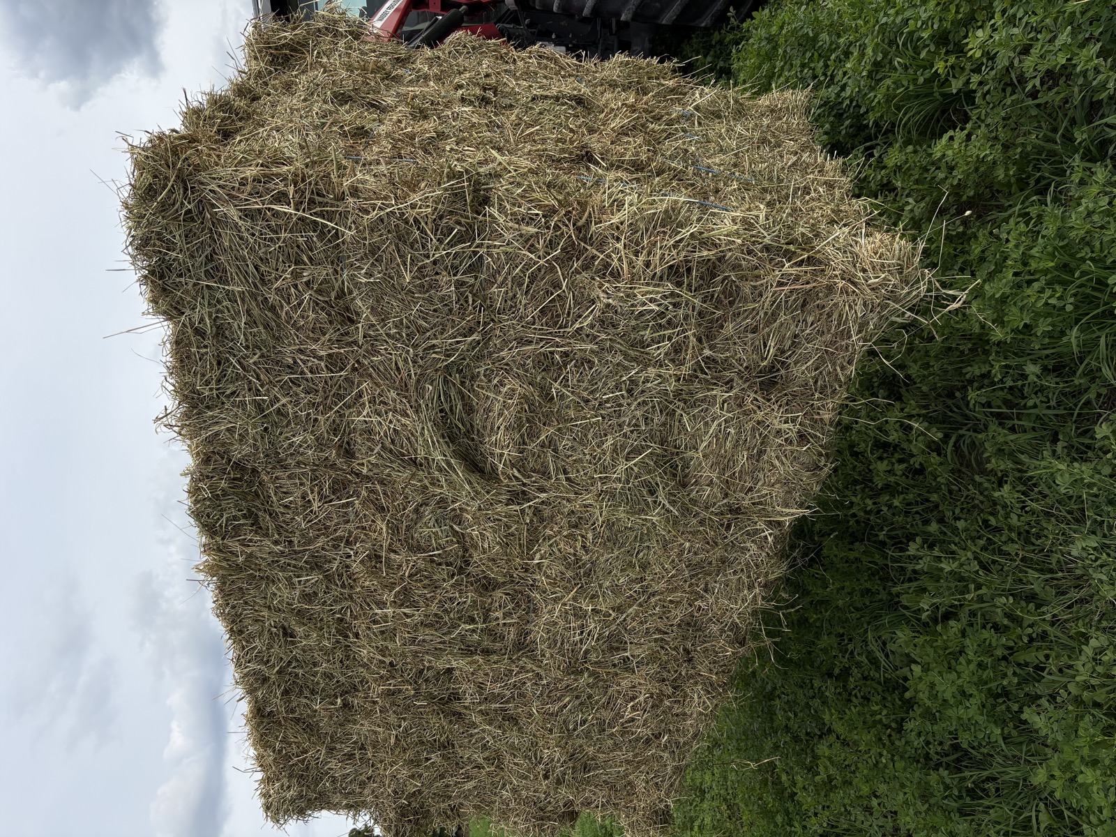 Close view of HAY 365 bundled small square hay bales